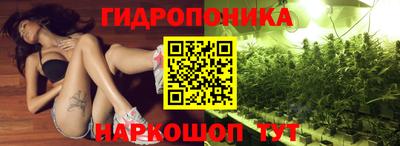 spice Заводоуковск